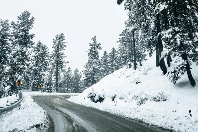 Kashmir Family Special