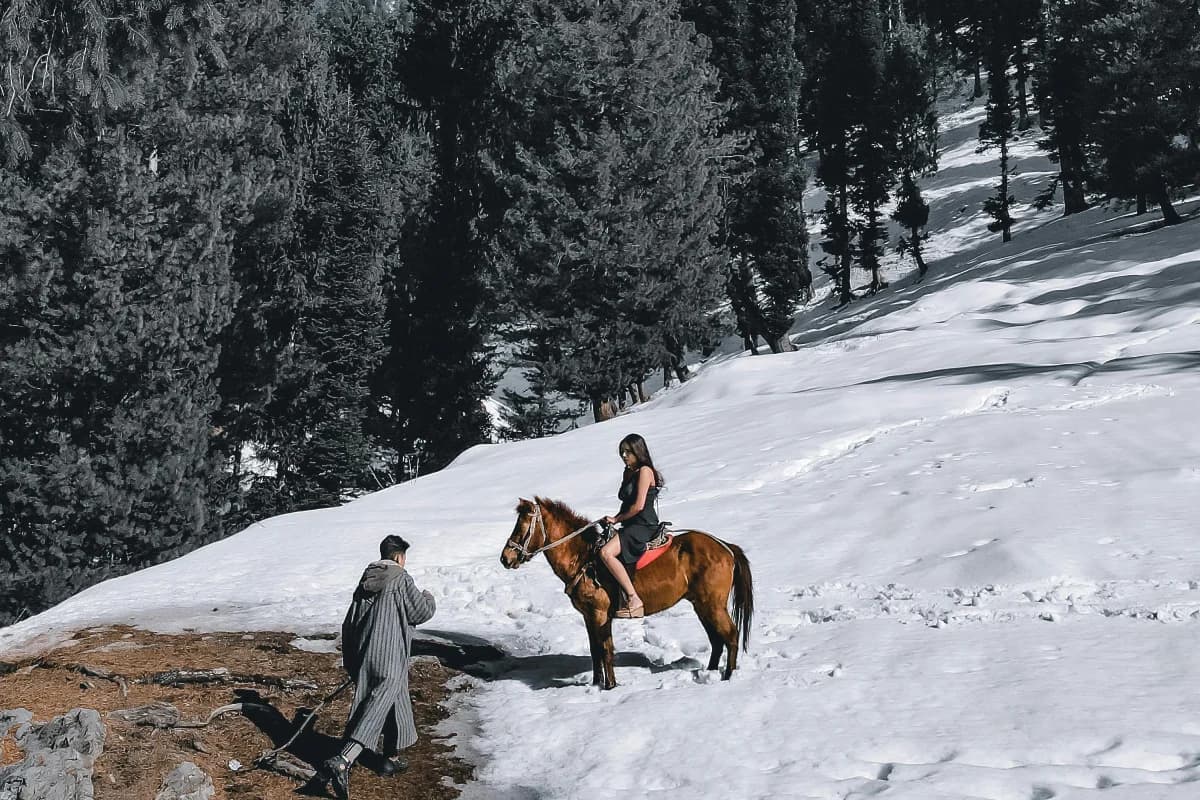 Kashmir Family Adventure